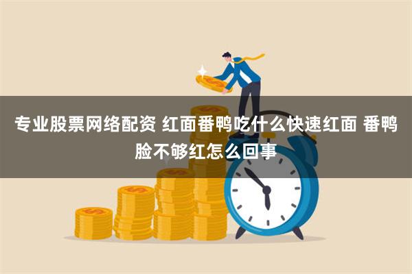 专业股票网络配资 红面番鸭吃什么快速红面 番鸭脸不够红怎么回事