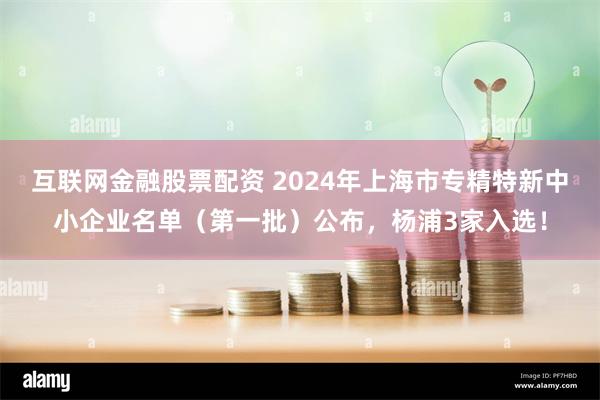 互联网金融股票配资 2024年上海市专精特新中小企业名单（第一批）公布，杨浦3家入选！