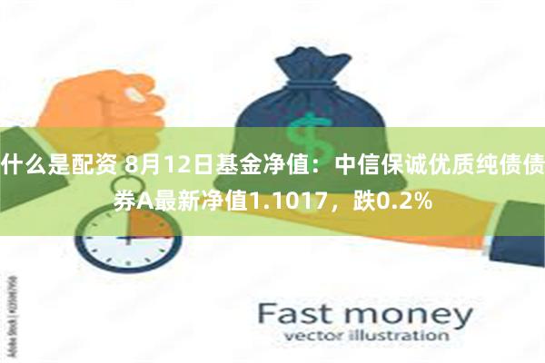 什么是配资 8月12日基金净值：中信保诚优质纯债债券A最新净值1.1017，跌0.2%