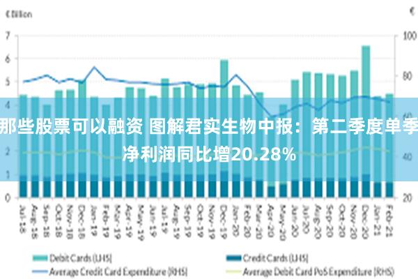 那些股票可以融资 图解君实生物中报：第二季度单季净利润同比增20.28%