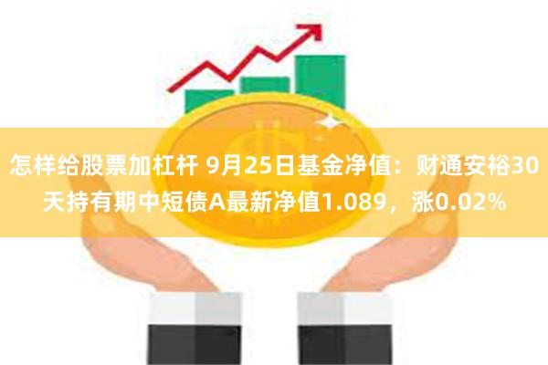 怎样给股票加杠杆 9月25日基金净值：财通安裕30天持有期中短债A最新净值1.089，涨0.02%