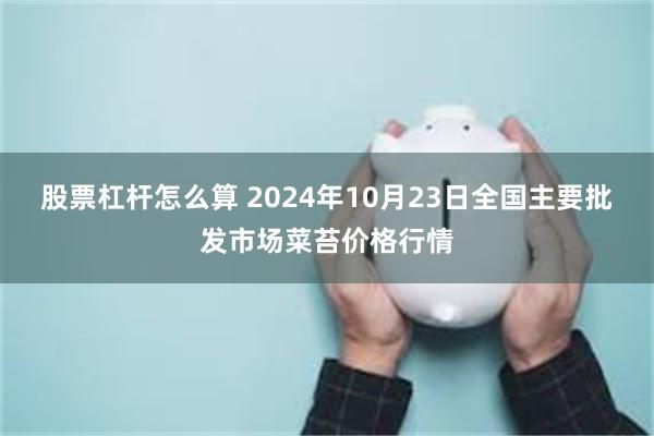 股票杠杆怎么算 2024年10月23日全国主要批发市场菜苔价格行情