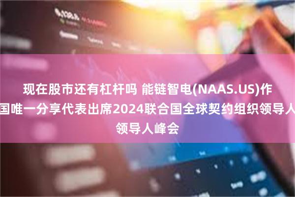 现在股市还有杠杆吗 能链智电(NAAS.US)作为中国唯一分享代表出席2024联合国全球契约组织领导人峰会