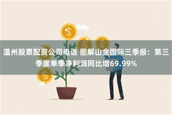 温州股票配资公司电话 图解山金国际三季报：第三季度单季净利润同比增69.99%