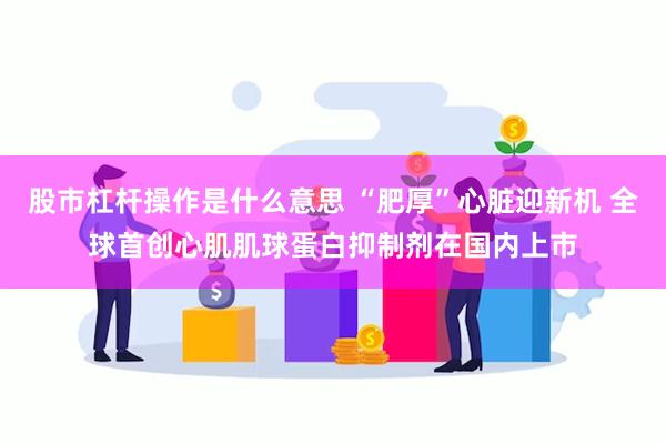 股市杠杆操作是什么意思 “肥厚”心脏迎新机 全球首创心肌肌球蛋白抑制剂在国内上市