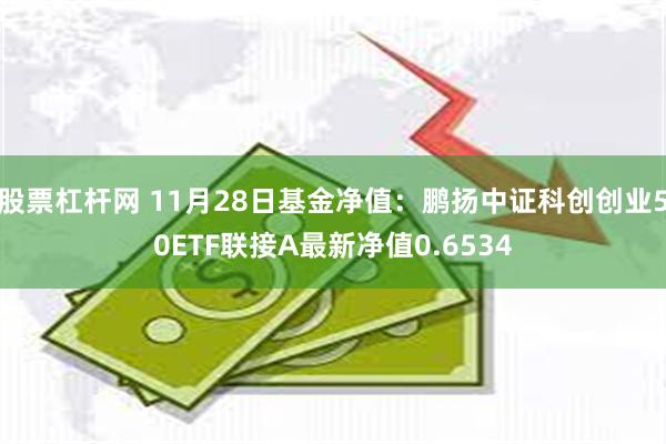 股票杠杆网 11月28日基金净值：鹏扬中证科创创业50ETF联接A最新净值0.6534