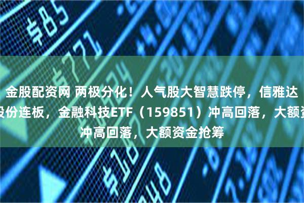 金股配资网 两极分化！人气股大智慧跌停，信雅达、御银股份连板，金融科技ETF（159851）冲高回落，大额资金抢筹