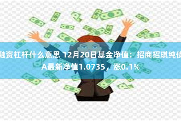 融资杠杆什么意思 12月20日基金净值：招商招琪纯债A最新净值1.0735，涨0.1%